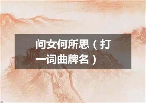 问女何所思（打一词曲牌名）