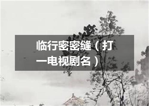 临行密密缝（打一电视剧名）