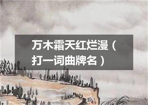 万木霜天红烂漫（打一词曲牌名）