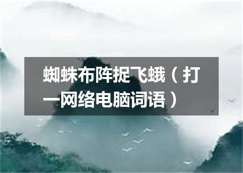 蜘蛛布阵捉飞蛾（打一网络电脑词语）