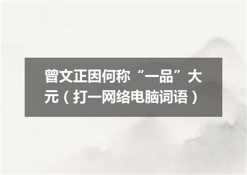 曾文正因何称“一品”大元（打一网络电脑词语）