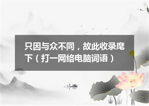 只因与众不同，故此收录麾下（打一网络电脑词语）