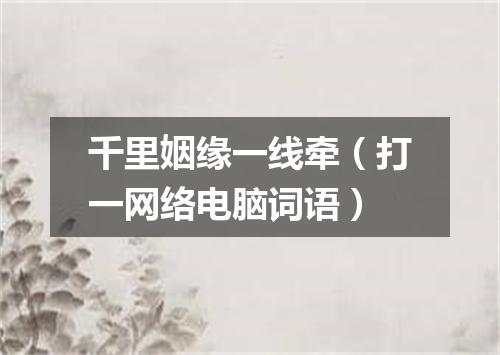 千里姻缘一线牵（打一网络电脑词语）
