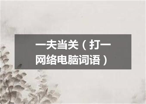 一夫当关（打一网络电脑词语）