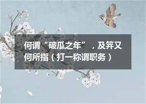 何谓“破瓜之年”，及笄又何所指（打一称谓职务）