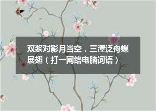 双浆对影月当空，三潭泛舟蝶展翅（打一网络电脑词语）