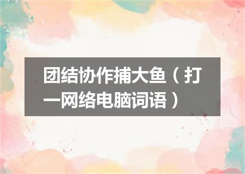 团结协作捕大鱼（打一网络电脑词语）