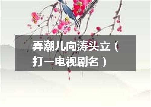 弄潮儿向涛头立（打一电视剧名）