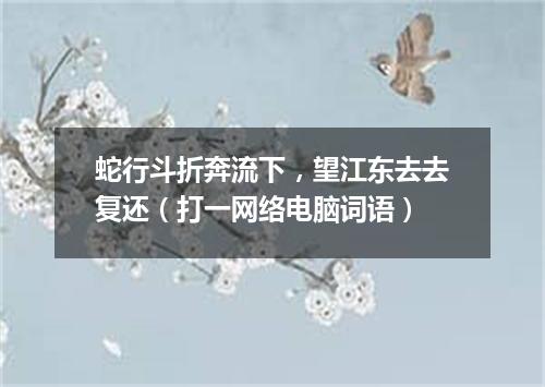 蛇行斗折奔流下，望江东去去复还（打一网络电脑词语）