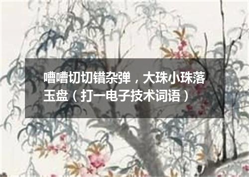 嘈嘈切切错杂弹，大珠小珠落玉盘（打一电子技术词语）