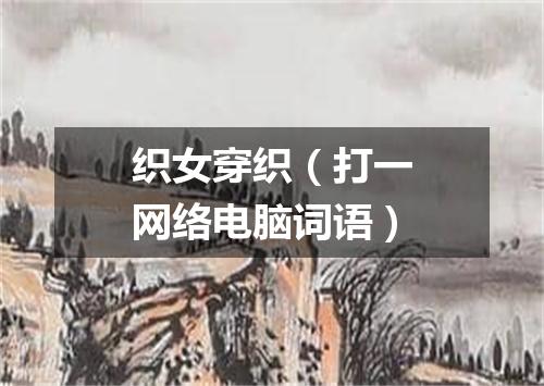 织女穿织（打一网络电脑词语）