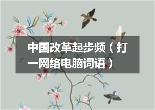 中国改革起步频（打一网络电脑词语）