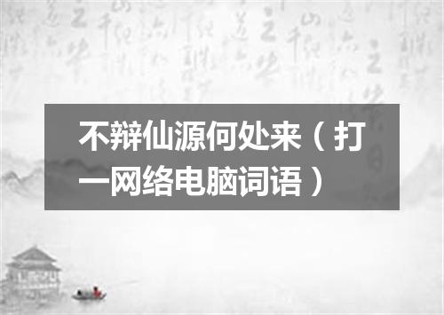 不辩仙源何处来（打一网络电脑词语）