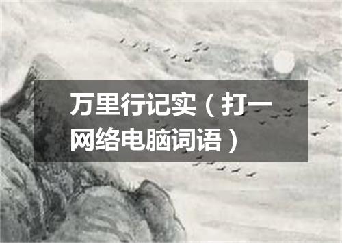 万里行记实（打一网络电脑词语）