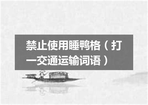禁止使用睡鸭格（打一交通运输词语）