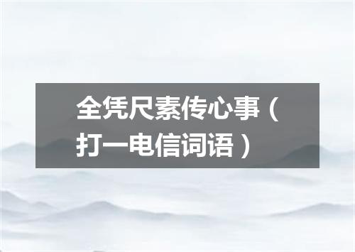 全凭尺素传心事（打一电信词语）