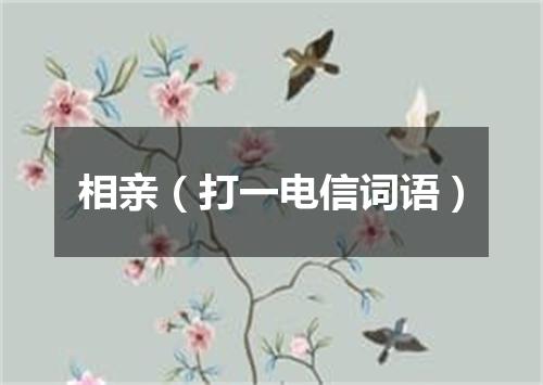 相亲（打一电信词语）