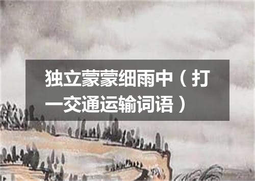 独立蒙蒙细雨中（打一交通运输词语）