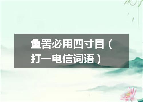 鱼罟必用四寸目（打一电信词语）