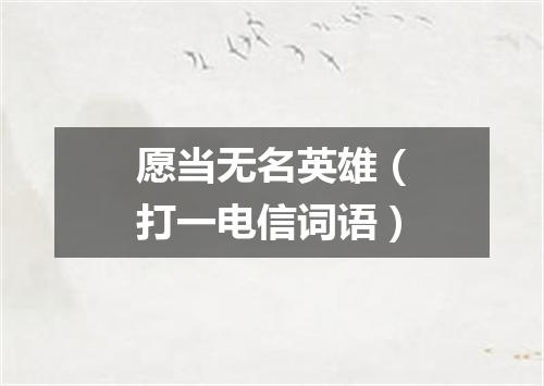 愿当无名英雄（打一电信词语）
