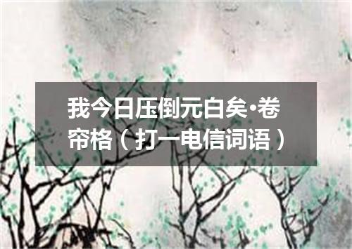 我今日压倒元白矣·卷帘格（打一电信词语）