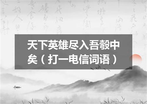 天下英雄尽入吾彀中矣（打一电信词语）