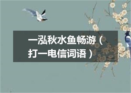 一泓秋水鱼畅游（打一电信词语）