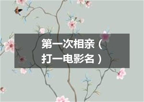 第一次相亲（打一电影名）