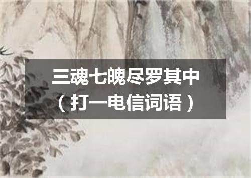 三魂七魄尽罗其中（打一电信词语）