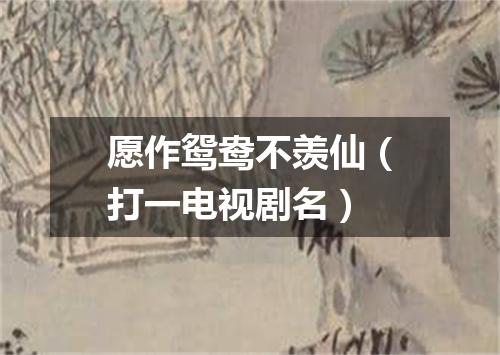 愿作鸳鸯不羡仙（打一电视剧名）