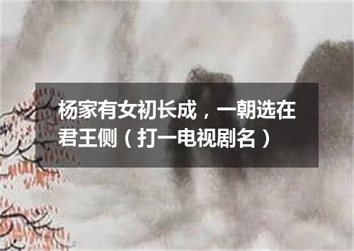 杨家有女初长成，一朝选在君王侧（打一电视剧名）