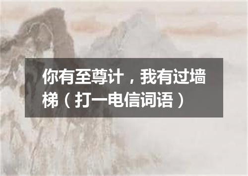 你有至尊计，我有过墙梯（打一电信词语）