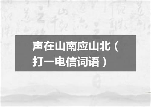 声在山南应山北（打一电信词语）