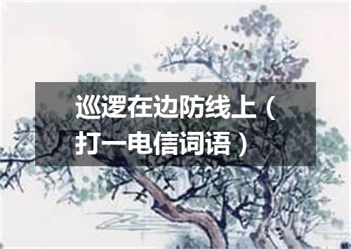 巡逻在边防线上（打一电信词语）