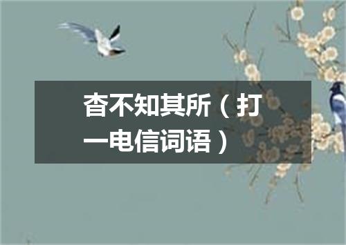 杳不知其所（打一电信词语）