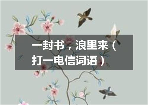 一封书，浪里来（打一电信词语）