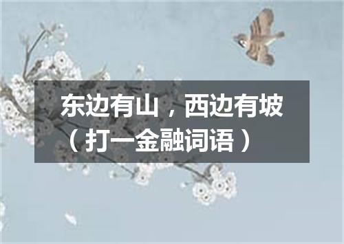 东边有山，西边有坡（打一金融词语）