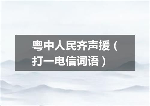 粤中人民齐声援（打一电信词语）