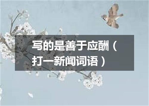 写的是善于应酬（打一新闻词语）