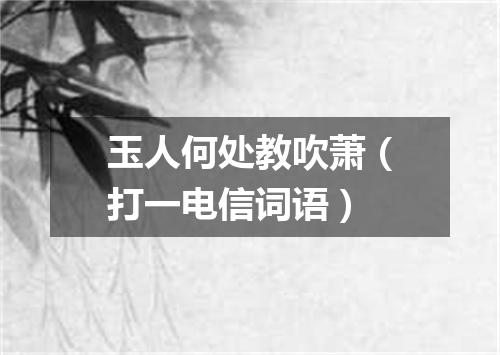 玉人何处教吹萧（打一电信词语）