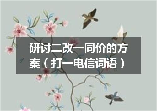 研讨二改一同价的方案（打一电信词语）