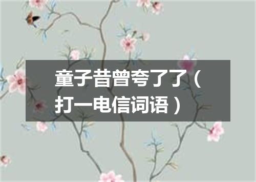 童子昔曾夸了了（打一电信词语）