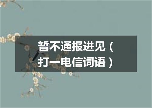 暂不通报进见（打一电信词语）