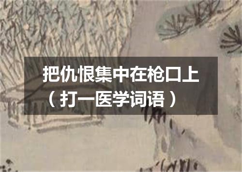 把仇恨集中在枪口上（打一医学词语）