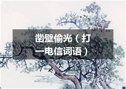 凿壁偷光（打一电信词语）