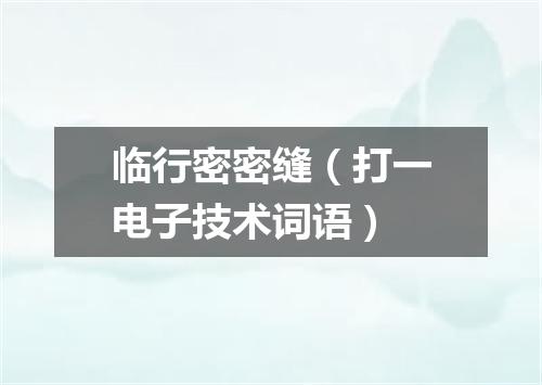 临行密密缝（打一电子技术词语）