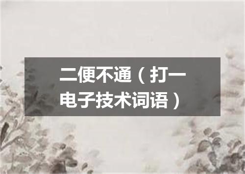 二便不通（打一电子技术词语）