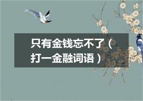 只有金钱忘不了（打一金融词语）