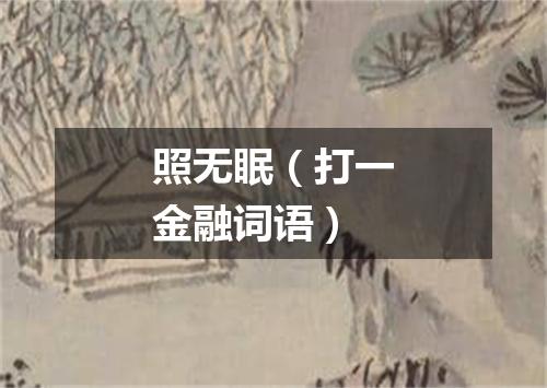 照无眠（打一金融词语）