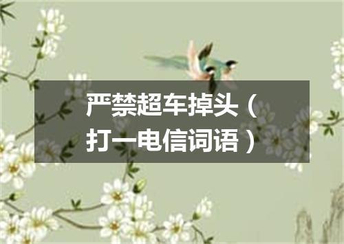 严禁超车掉头（打一电信词语）